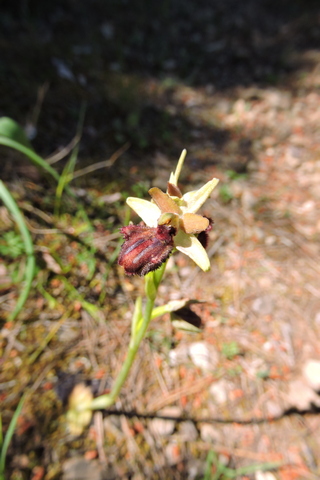 Covers off and on  –  2026/16