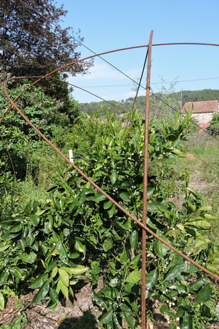 The frame has slipped as the wires corroded