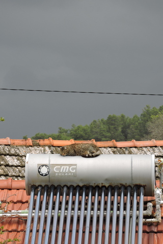 I'm not moving.... yet.