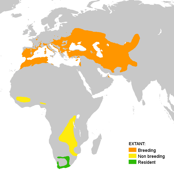 Range of the European Bee Eater