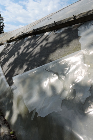 Part of the torn cover