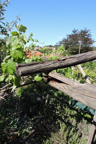 One end of the Arbour has completely given way