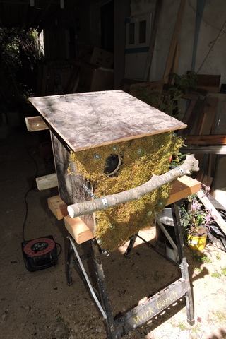 The glue drying in the sunshine