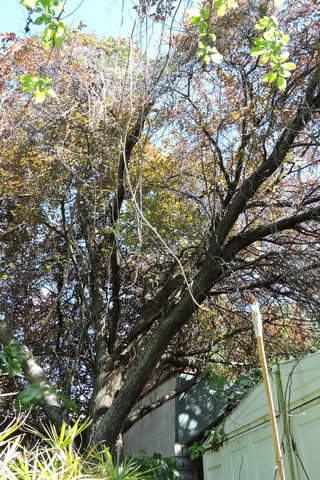 There is more maintenance to do though!