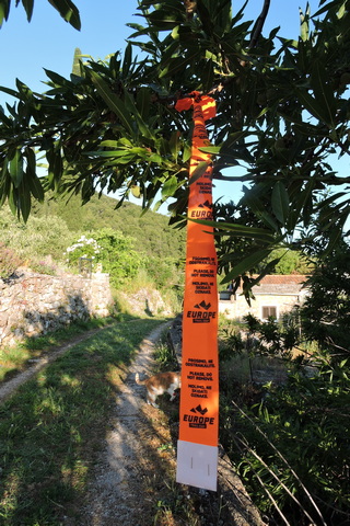 Trail Run markers to help guide participants