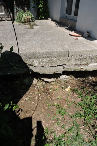 After a weeding effort