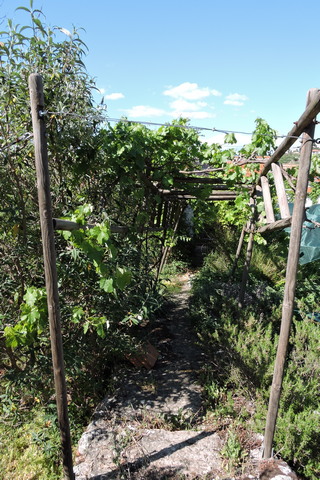 The Arbour secure once more