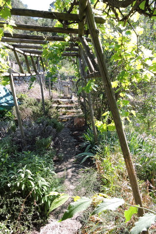 Some leaning uprights