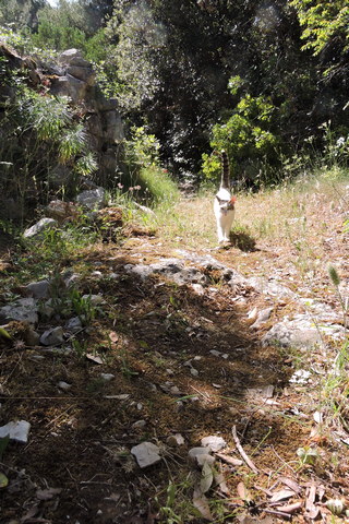 Wait for me - I've only got little legs...