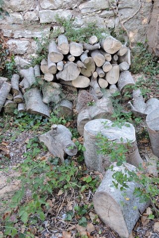 Drying logs for next winter