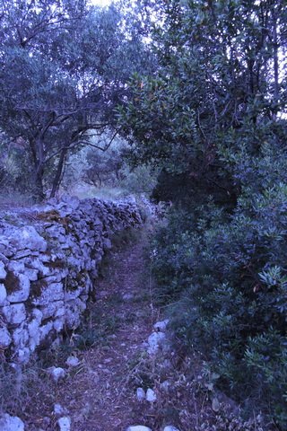 The Maquis at dusk