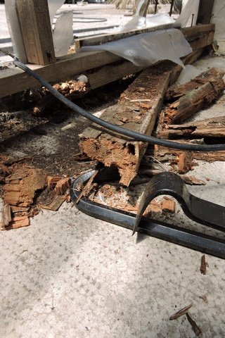 Crumbling wood and lots of ants
