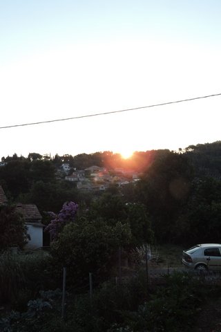 The sun rises above the trees on Hum