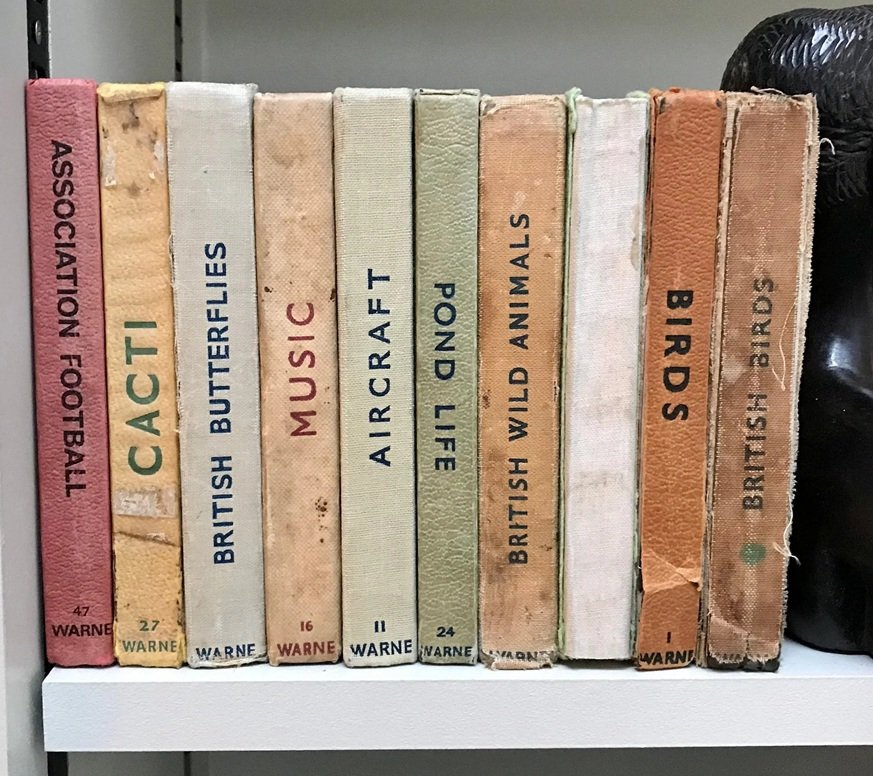 Observers Books on a shelf
