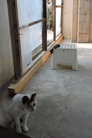 Project finished and ready for inspection