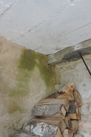 The corner above the wood store, once again green with damp