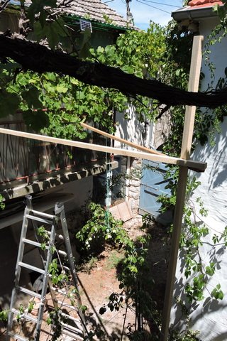 Upright and cross pieces supporting the fruit laden branches