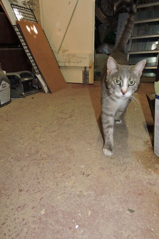 My supervisor, Živa