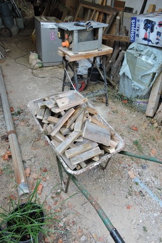 Cutting more firewood for winter