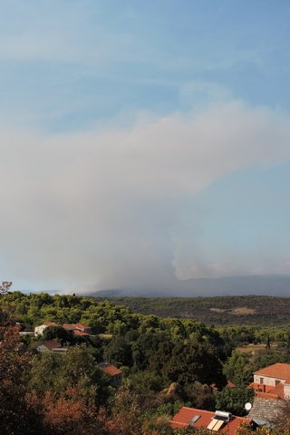 Pyrocumulus cloud forming above the fire