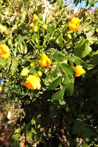 Gardens matter  –  2026/38