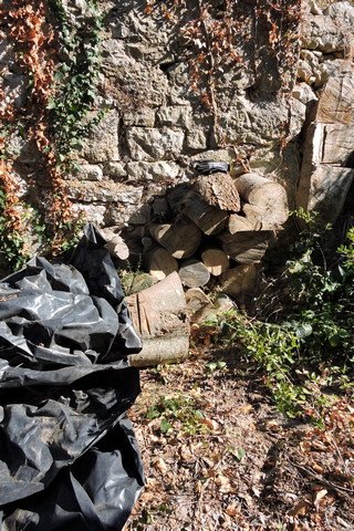 Log pile ready for covering