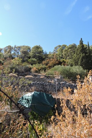 Colour change on the hillside