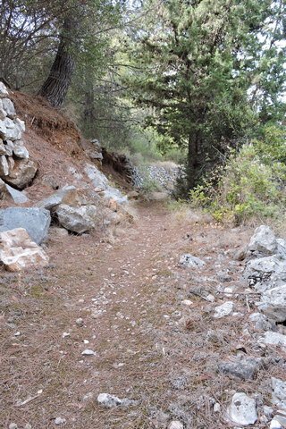 No wild flowers in this area