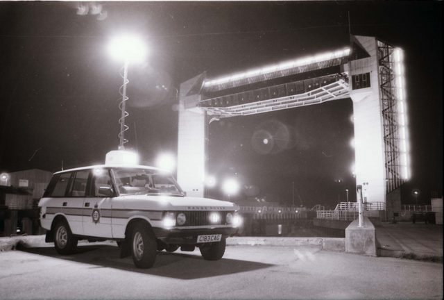 Stemlight up at night