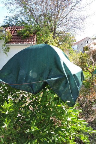 Summer shade covering