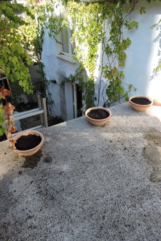 Planters in position
