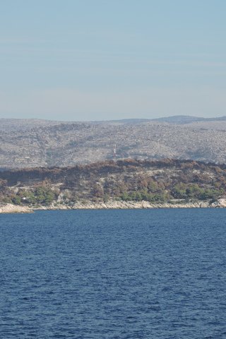 Forest fire damage on Brač
