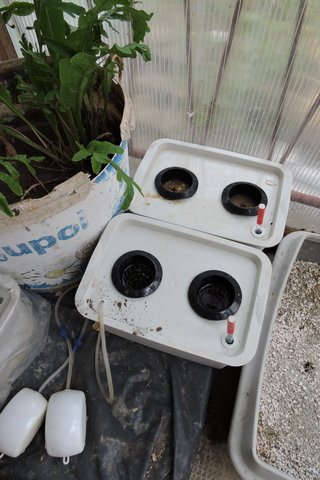 4 Litre Hydroponic tubs