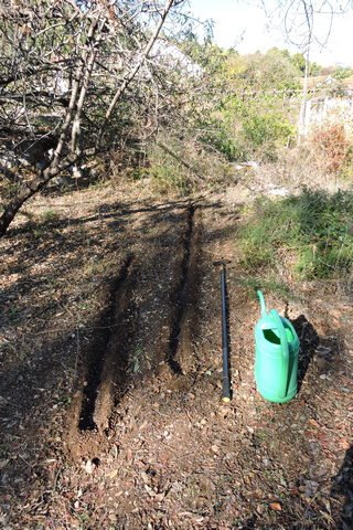 Channels prepared and watered