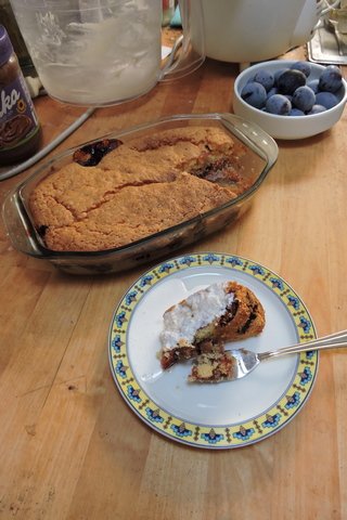 Plum Cobbler with cream