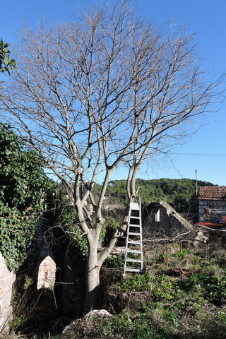 A step ladder is not much help