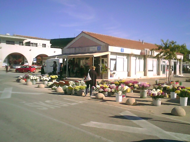 Flowers in Stari Grad